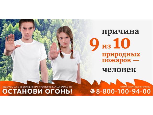 Баннеры