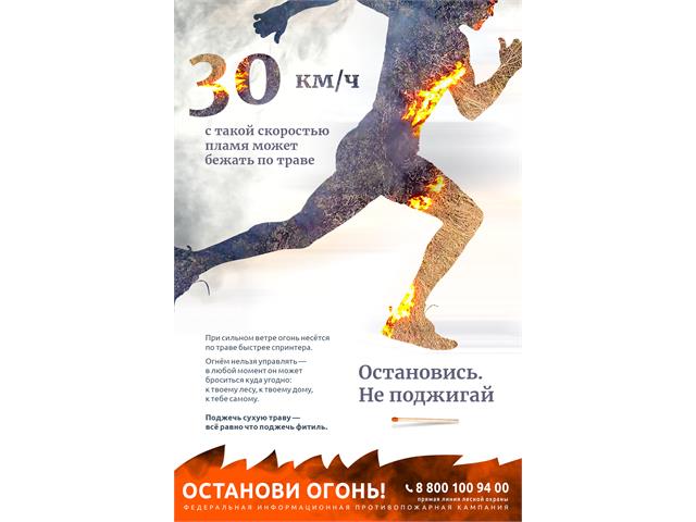 Баннеры