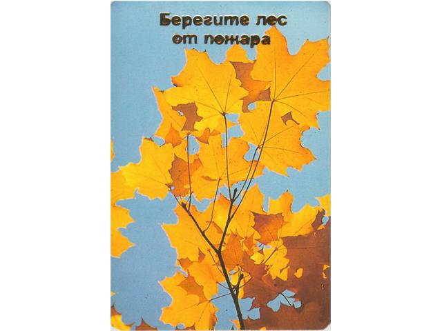 Коллекция календарей