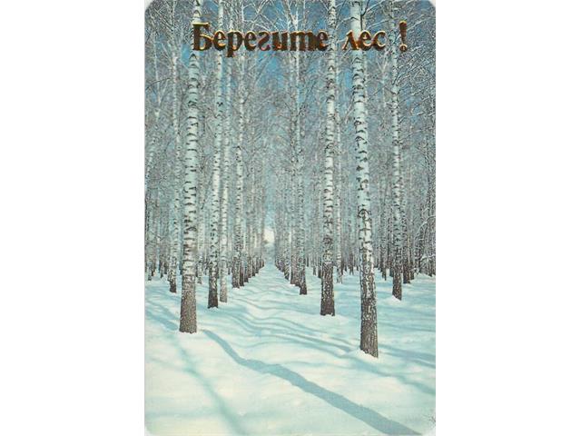 Коллекция календарей