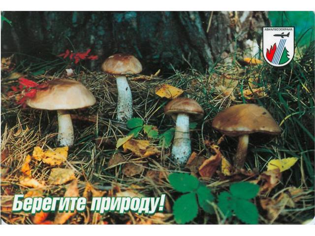 Коллекция календарей