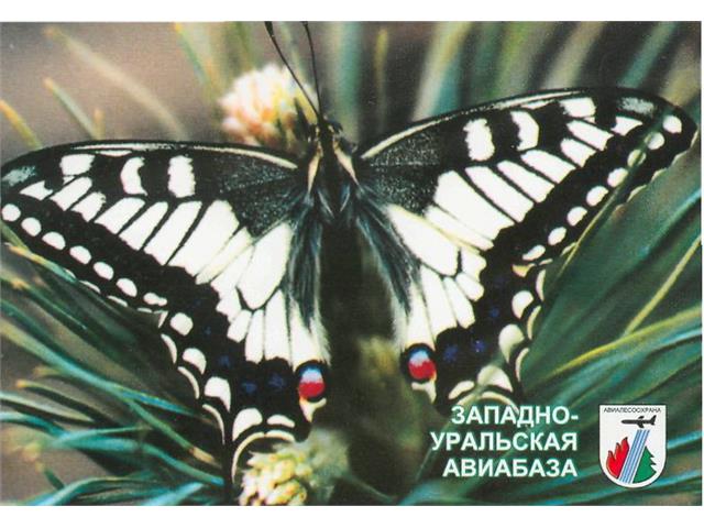 Коллекция календарей