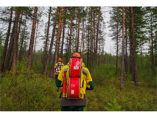 Прокладка минерализованной полосы с использованием ВМ