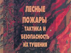 Лесные пожары тактика и безопасность их тушения