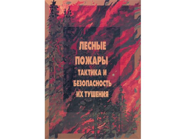 Лесные пожары тактика и безопасность их тушения