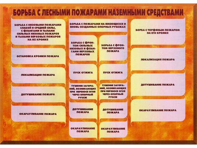 Лесные пожары тактика и безопасность их тушения