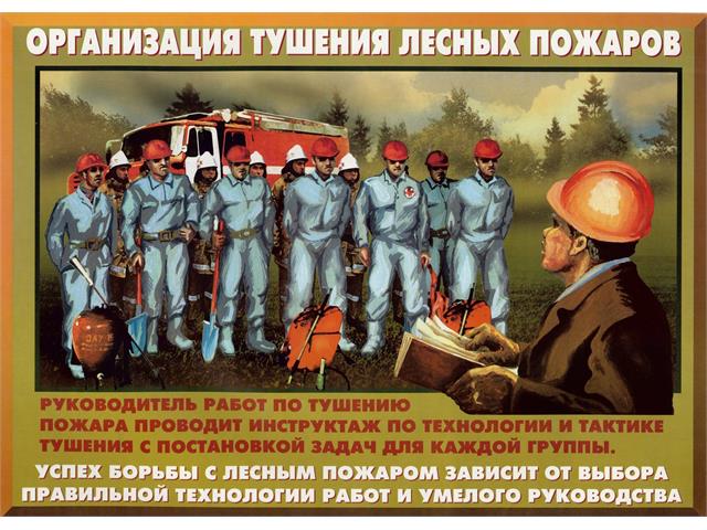 Лесные пожары тактика и безопасность их тушения