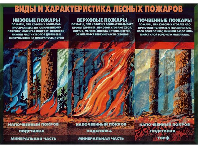 Лесные пожары тактика и безопасность их тушения