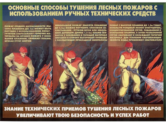 Лесные пожары тактика и безопасность их тушения