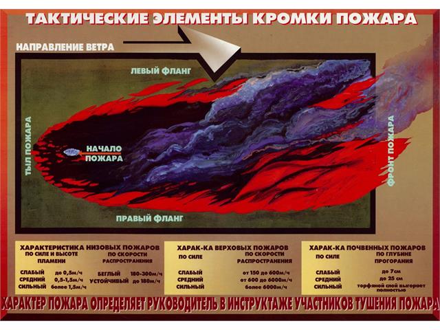 Лесные пожары тактика и безопасность их тушения