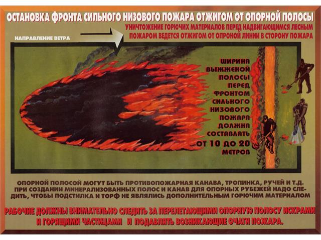 Лесные пожары тактика и безопасность их тушения