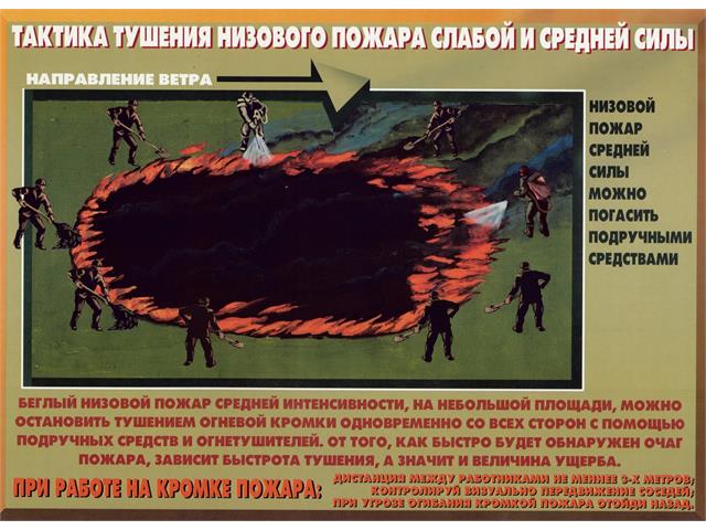 Лесные пожары тактика и безопасность их тушения