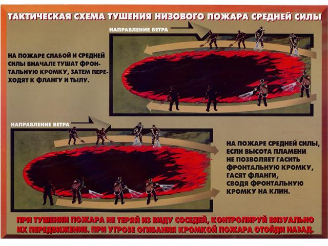Лесные пожары тактика и безопасность их тушения