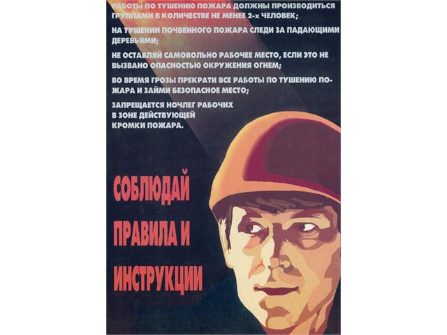 Лесные пожары тактика и безопасность их тушения