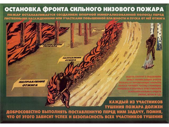 Лесные пожары тактика и безопасность их тушения