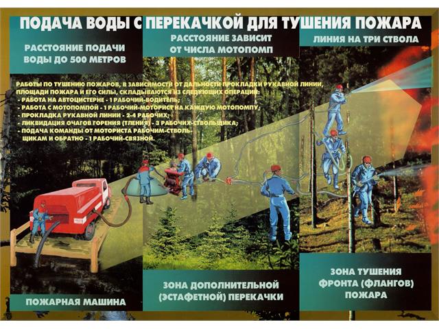 Лесные пожары тактика и безопасность их тушения