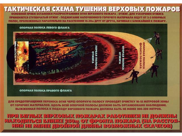 Лесные пожары тактика и безопасность их тушения