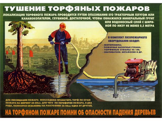 Лесные пожары тактика и безопасность их тушения