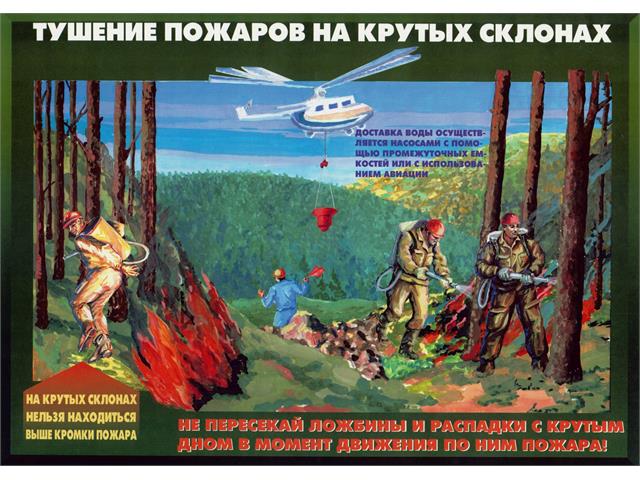 Лесные пожары тактика и безопасность их тушения