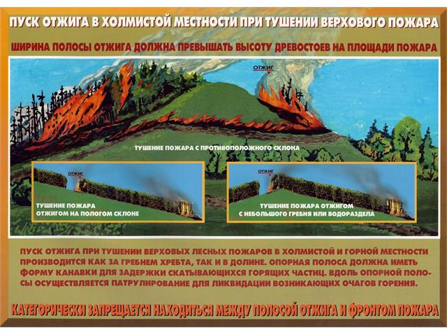 Лесные пожары тактика и безопасность их тушения