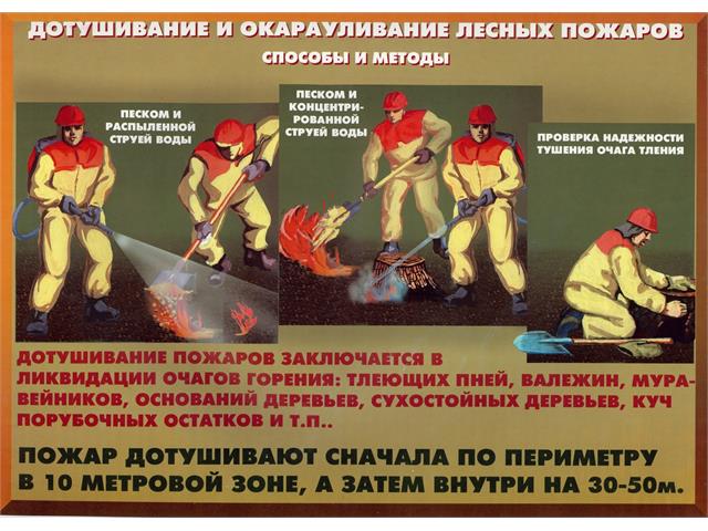 Лесные пожары тактика и безопасность их тушения