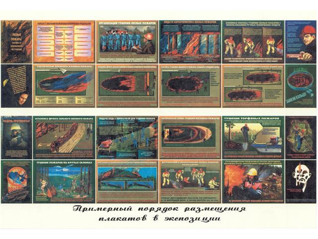 Лесные пожары тактика и безопасность их тушения