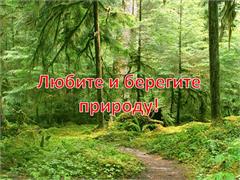 Баннеры