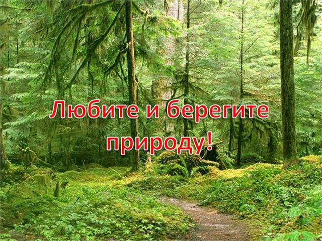 Баннеры