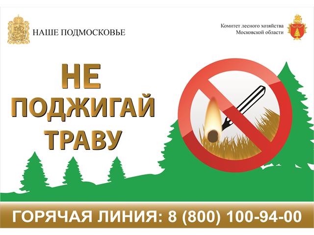 Баннеры