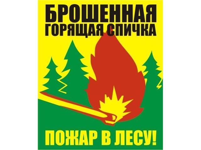 Баннеры