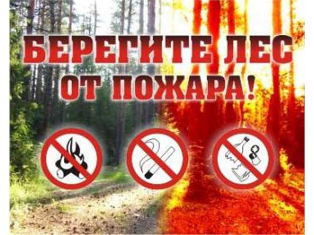 Баннеры