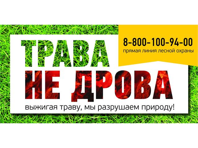 Баннеры