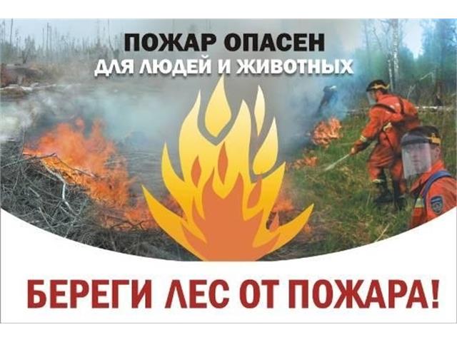 Баннеры