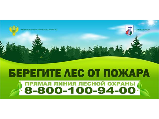 Баннеры