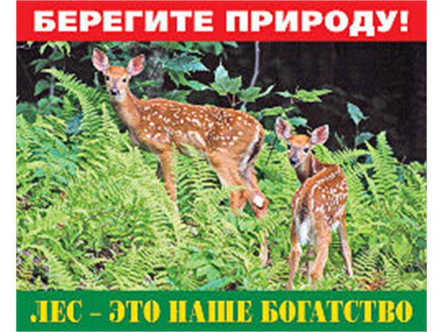 Баннеры