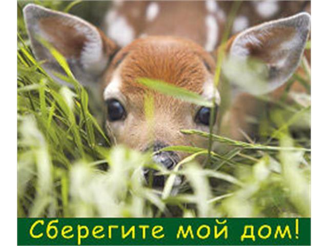 Баннеры
