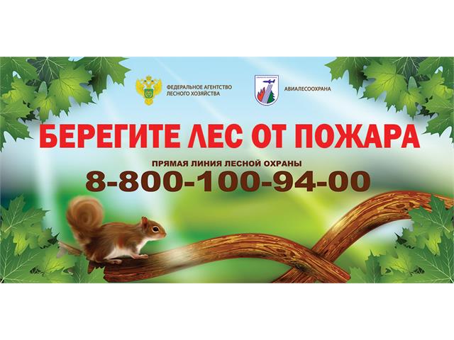 Баннеры