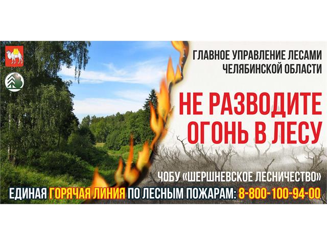 Баннеры