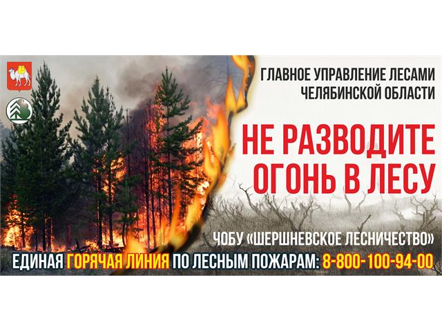 Баннеры