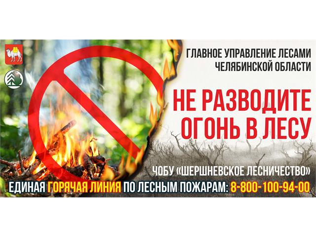 Баннеры
