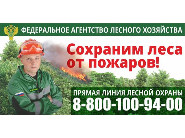 Баннеры