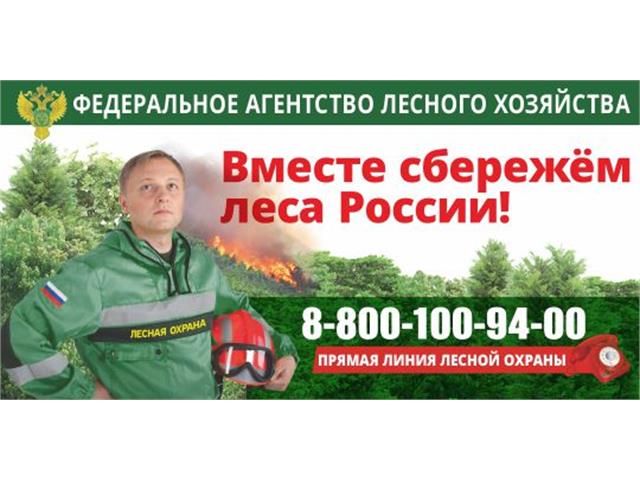 Баннеры