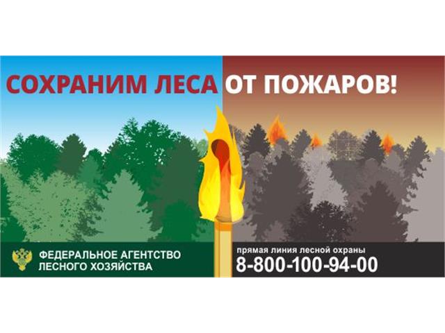 Баннеры